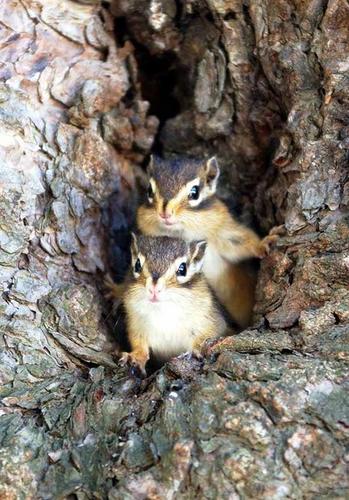 warren0731's profile picture. 