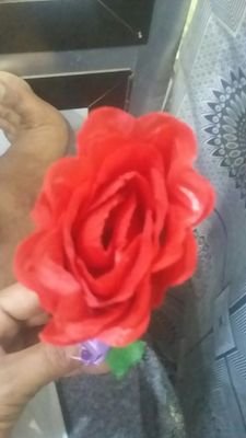 rCMbcQBCxbgiGkD's profile picture. ....