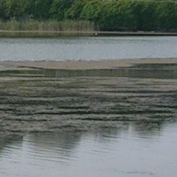 Beal_Scaoilte's profile picture. 