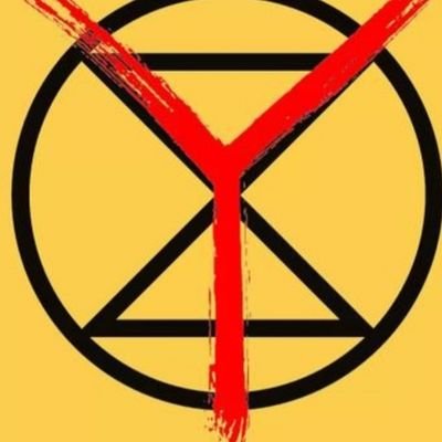 Official Twitter for the youth led climate activism group Extinction Rebellion, Hudson Valley Chapter