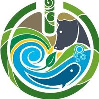 CAMPOUNAD (@campounad) 's Twitter Profile