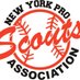 NY Pro Scouts Association (@nyproscouts) Twitter profile photo