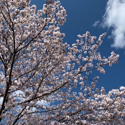 oikosaka's profile picture. freelance J-E translator specializing in patent, biotechnology, chemical and medical.