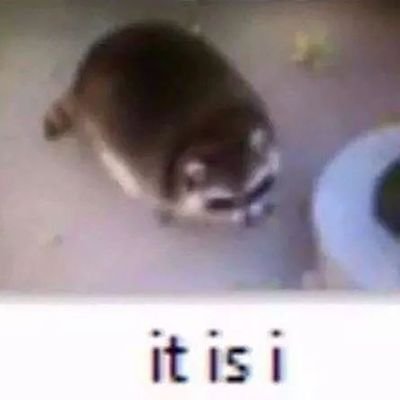 Hamfro's profile picture. 