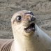 _ _ _ (@new____username) Twitter profile photo _ _ _ (@new____username) Twitter profile photo