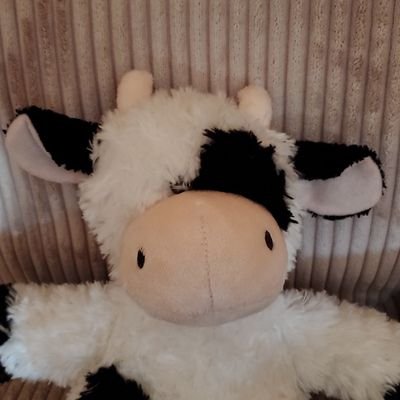 The number 1 Twitter feed for those involved, or just interested, in the direct quotation of @beefanddairy without any supporting context. Replies Welcomed!