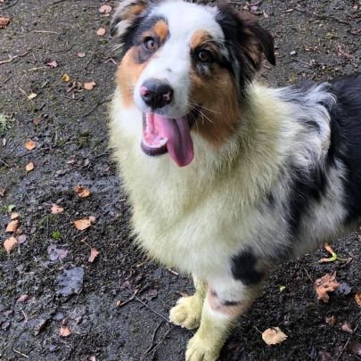 jamienwm_'s profile picture. HELLO FOLKS