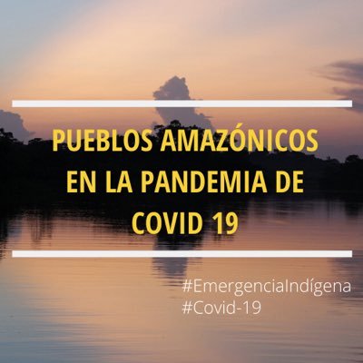 “Pueblos amazónicos en la pandemia Covid19” visibiliza las iniciativas de los hombres y las mujeres de la Amazonía ante las emergencias por esta pandemia.