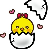 『ひよこ』ペット兼広報🐤 (@hiyokoinfo) 's Twitter Profile
