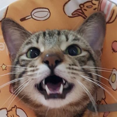 juriさんのプロフィール画像
