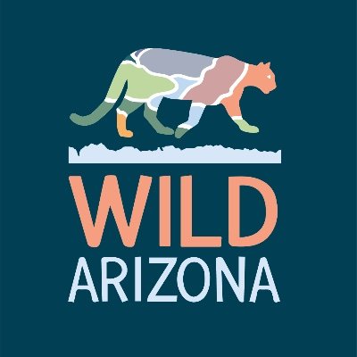 Wild Arizona works to protect, unite, and restore AZ's wild places for all generations. We are AZ Wilderness Coalition + @gcwildlands! #KnowitLoveitProtectit