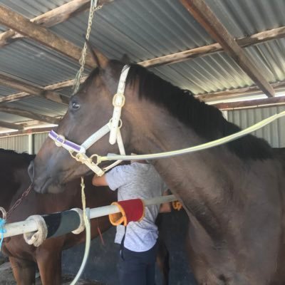 Ealing Park Broodmare and Spelling Farm The well regarded Ealing Park Euroa is now under ownership and management of Rebecca and Simon Lurati.