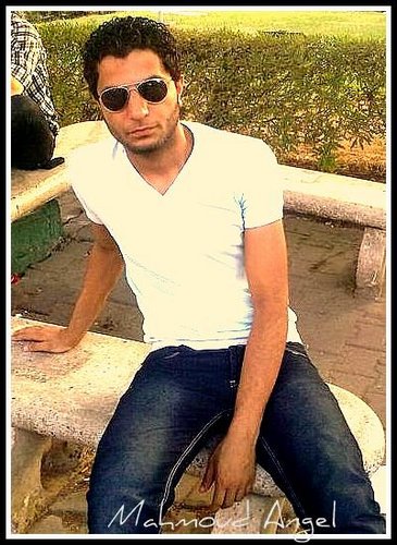 mahmoudm0dy's profile picture. 