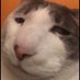 BigShlaa (@bigshlaa) Twitter profile photo BigShlaa (@bigshlaa) Twitter profile photo