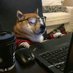Atools (@bukbozzz) Twitter profile photo Atools (@bukbozzz) Twitter profile photo