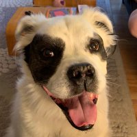 Nikki (@payne107) 's Twitter Profile