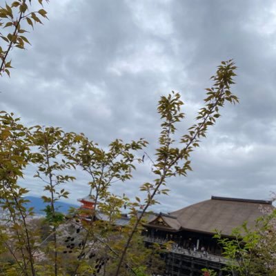 maichel_ku's profile picture. 