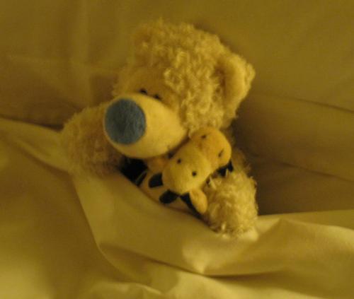 erictedd's profile picture. Don't underestimate the value of Doing Nothing, of just going along, listening to all the things you can't hear, and not bothering.