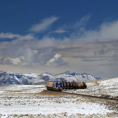 Felipissho's profile picture. 