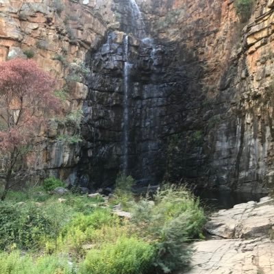 ManuvSuri's profile picture. 🇦🇺🇮🇳 Always let facts get in the way of a good story