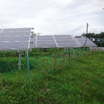 兼業サラリーマンが投資・事業を呟きます!太陽光発電(再生可能エネルギー)+αに想いをはせつつ、気が付いたら群馬、長野、埼玉の多拠点生活・・・に突入・・・か?! 目指せ億り人!?(負債が先行しそうですけど・・・)/ 本業はマーケターです!