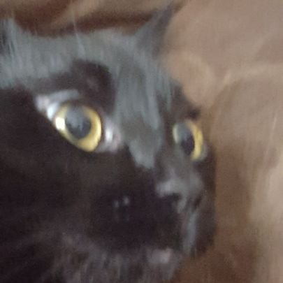 hyperbee78's profile picture. 