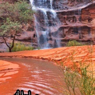 Assnm1122's profile picture. التفاؤل يجلب الحظوظ الجميله