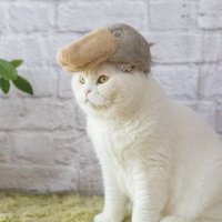 芸能警備2 (@x0wassahxan9l0o) 's Twitter Profile Photo