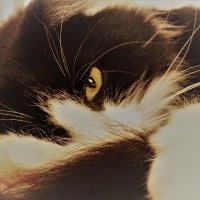 Colline Brassard (@brassardcolline) 's Twitter Profile Photo Colline Brassard (@brassardcolline) 's Twitter Profile Photo