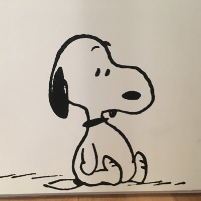 tomokaa_uu's profile picture. 