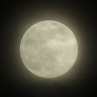 tentsandpegs's profile picture. Tents and Pegs - Camping Adventures. Blogging our escapade in to family camping. Check out our website https://t.co/Q30zacLfpm and our Facebook page Tentsandp