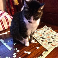 Mary Breen (@mb58736599) 's Twitter Profile Photo