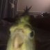 apenas um ponto (@apenas1ponto) Twitter profile photo apenas um ponto (@apenas1ponto) Twitter profile photo