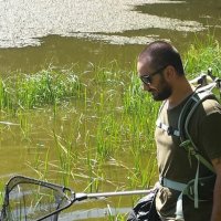 Marco Guglielmi (@marcogugy) 's Twitter Profile