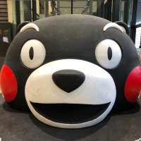 zonocyan (@paoncyan) 's Twitter Profile