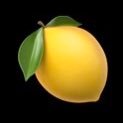 yoooojacha's profile picture. 유자차 좋아하고 진보적인 세상 꿈꾸고 실천합니다❣️🍋 / 일상이 덕질