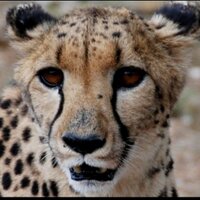 Grenzgänger (@travel_expat) 's Twitter Profile Photo