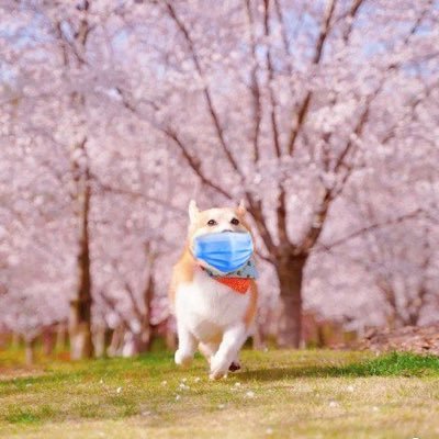 mb_dlu5fof's profile picture. 