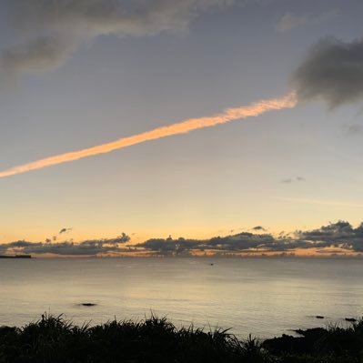 関西圏に移住したサラリーマンです。趣味は釣りとスポーツ観戦。政治について呟くためのアカウント作りました。