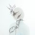 Blanche (@blanchemusicbe) Twitter profile photo Blanche (@blanchemusicbe) Twitter profile photo