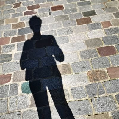Je ne tweete pas, je lis.
Bibliothèque d'infos, de pensées empruntées aux autres.