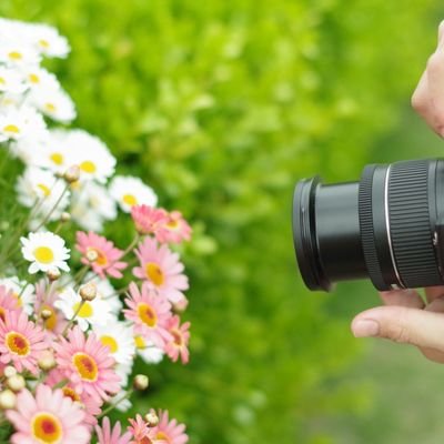 甲南大学文化会写真部の公式アカウントです。写真展など各種PR情報のほか、様々な話題をお届けします✨ 公式Instagram https://t.co/9ICJJhDtI8もぜひご覧ください。ご質問や入部希望などの各種お問い合わせは、DMまでお気軽にどうぞ!