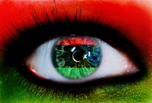 LibyanThinker Profile Picture