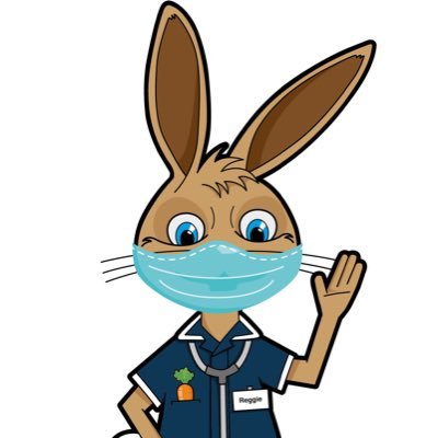 I am Reggie The Research Rabbit and I hop around the West Midlands spreading the word about clinical trials to children and young people!