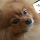 Ed - @ed_vogel - Twitter