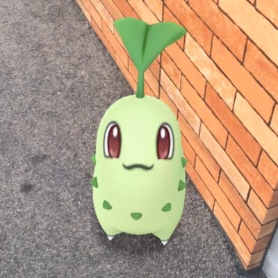 ちこりーた Pa Twitter んぎゃあああああああああああ 可愛すぎぃぃ チコリータ ポケモンgo うちのチコリータ 可愛い 上目遣い可愛すぎ死ぬ