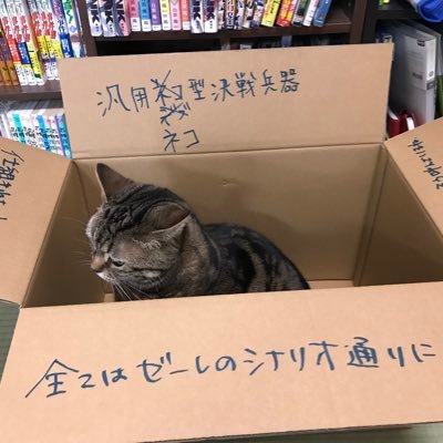 成人済、ヲタク垢。緑川光と石田彰クラスタ。昔腐女子現在はノマカプ厨。基本的に金髪碧眼スキー。FFのルーファウスとか理想を地でいってる、サイコー。最近ウイスキーにハマりました
