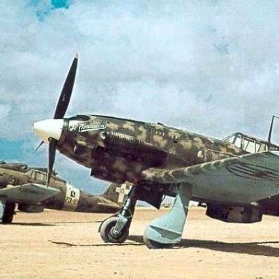 C.202さんのプロフィール画像