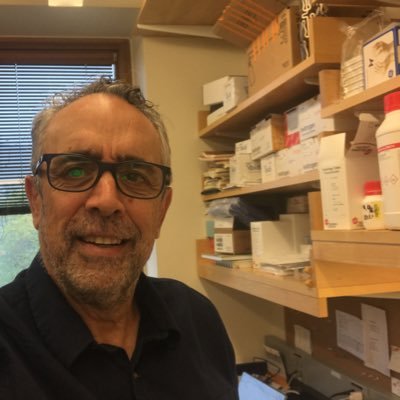 Director of Project Darwin-Lamarck M.D. specialist in Biochemistry and Molecular Biology dedicated to decipher the mechanisms of Symbiogenesis