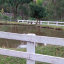 Rosa Maria Severino - @RosaMariaSever4 - Twitter